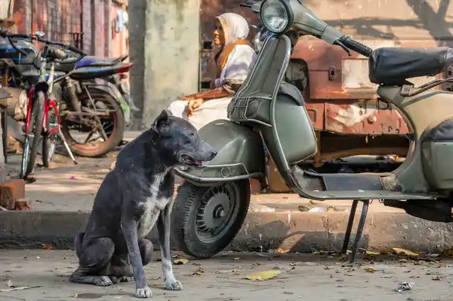 A still from Jesse’s film.