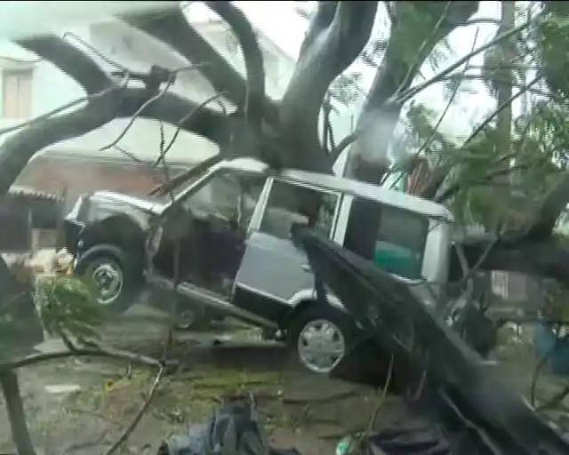 A damaged vehicle stuck under a fallen tree in Balugaon, close to Chilika lake. 