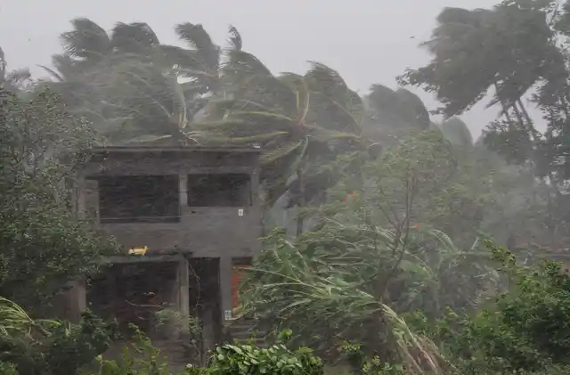 Trees surrounding an abandoned house sway as gusty winds hit ahead of the landfall of Cyclone Fani on the outskirts of Puri, Odisha, on Friday, 3 May 2019. 