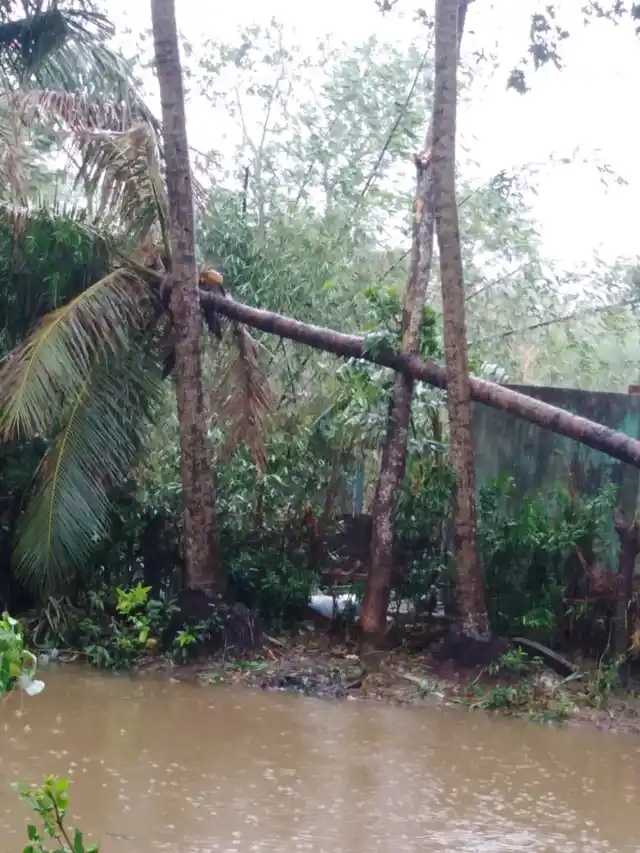 Water-logging in Alaidiha village in Khurda district.