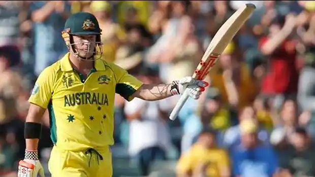 David Warner played his first World Cup in 2015. 