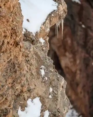 Kibber: A photograph of a snow leopard clicked by wildlife photographer Saurabh Desai has gone viral on social media after many netizens found it hard to spot the animal on a rocky mountain covered with patches of now.