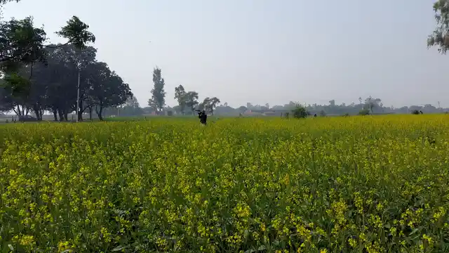 The events that led to the death of two teenaged girls in Badaun remain a mystery.