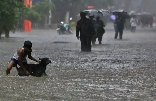 A boy plays with his pet dog in a waterlogged street during monsoon rains in Mumbai.