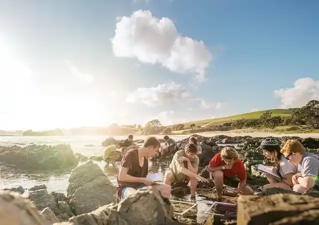 Studying in New Zealand future proofs you.