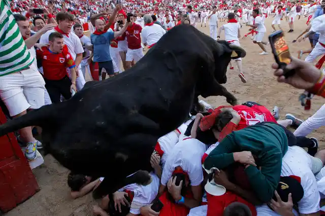 A cow jumps over revellers following the running of the bulls at the San Fermin Festival, in Pamplona.