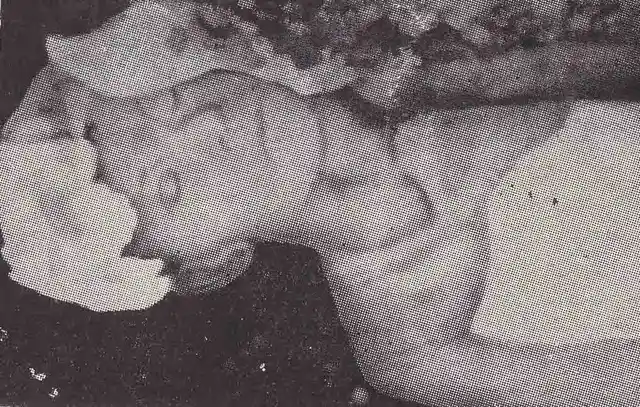 Bhogeshwari Phukanani is better known as the ‘60-year-old martyr’.