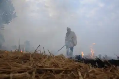 A farmer burns paddy stubble on the outskirts of Amritsar. 