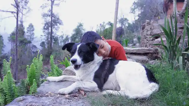 A still from <i>Nimtoh.</i>