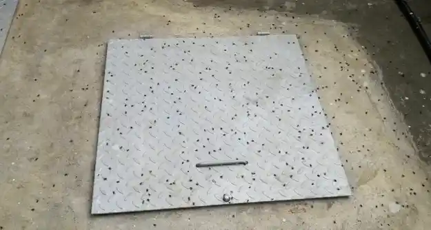 A photo shared by Janice shows flies in her compound.