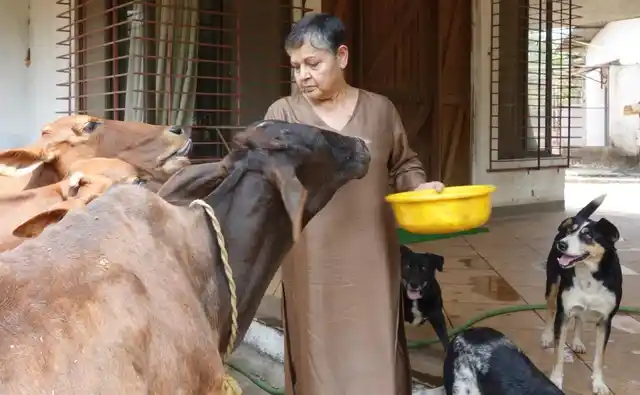 Raakhee with her pet cows and dogs at her Panvel farmhouse.