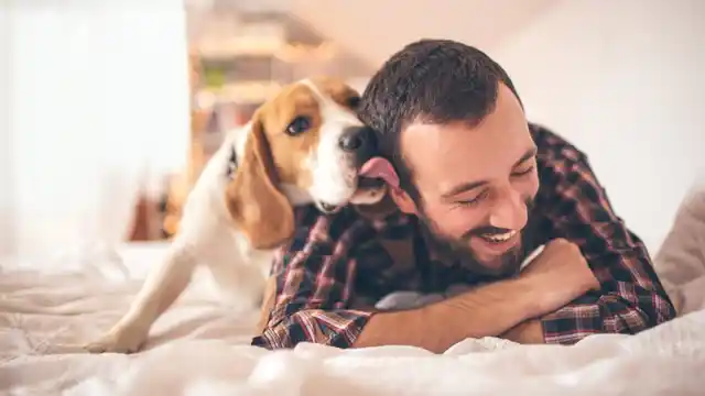 Studies have shown that spending time with pets releases dopamine and endorphins which are responsible for a feeling of happiness and well-being. 