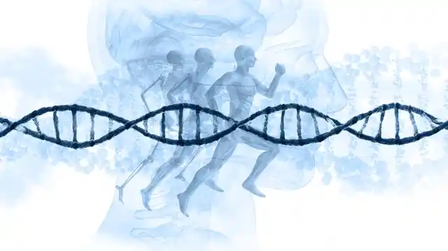 We discovered that cancer cells under this duress become dormant after eating, or “cannibalising,” the stem cells.