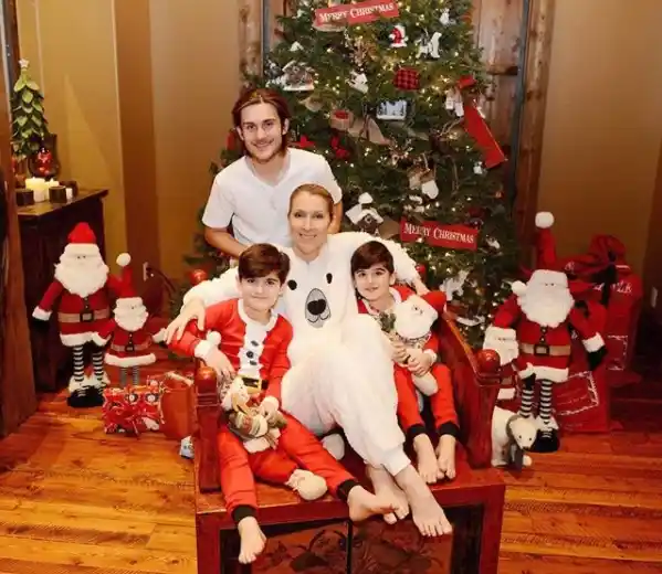 Celine Dion opened about her experience when her twins were born and how she felt happiness, fatigue, sadness - all at once. She said she believed mothers needed more emotional support post the delivery of the baby. 