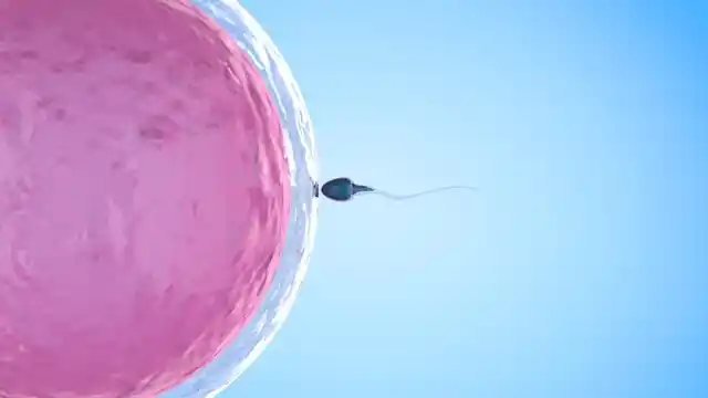 ‘You just need one sperm to fertilise an egg.’