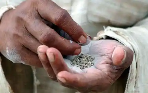 Apart from cigarette, smokeless tobacco can also be dangerous for human life.