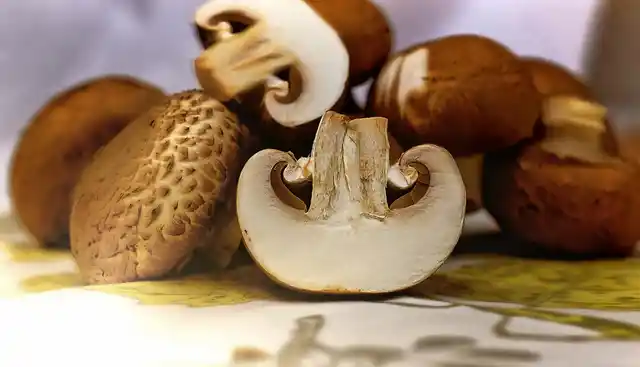 Mushrooms help beef up your immunity immensely.