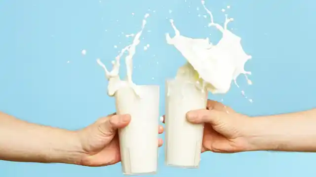 Drink milk everyday during exams!