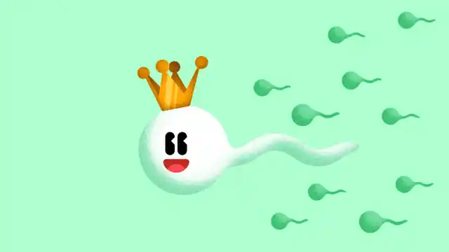 King no more? The sperm loses its DNA integrity due to air pollution.