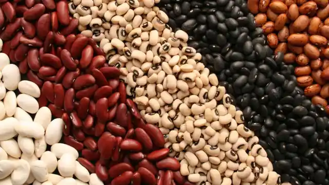 Beans can often leave you feeling gassy. <br>