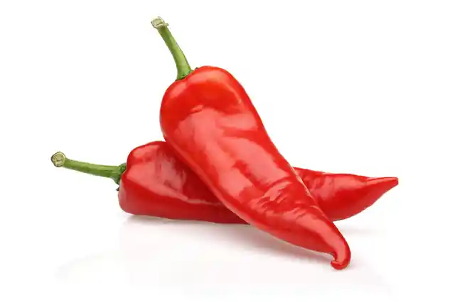 This chilli in spite of being fiery apparently does not mess with the stomach.