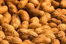 Peanuts helps relax and widen blood vessels, thus increasing blood flow throughout the body.