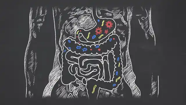 Cloves are good for digestion and stomach ulcers.