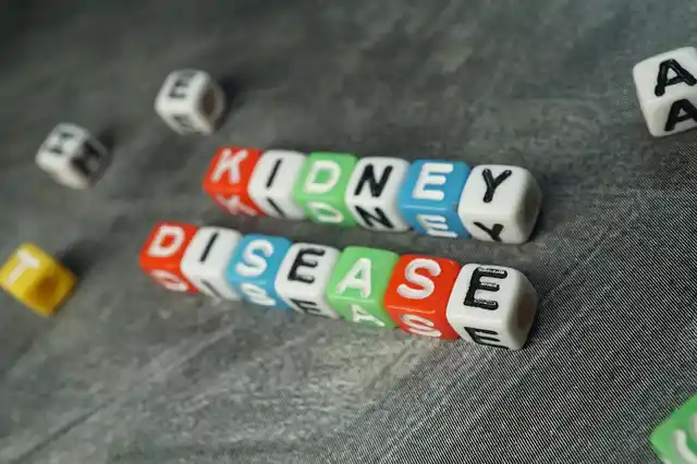 Chronic kidney disease refers to the gradual, irreversible loss of kidney function leading to progressive kidney damage and failure.