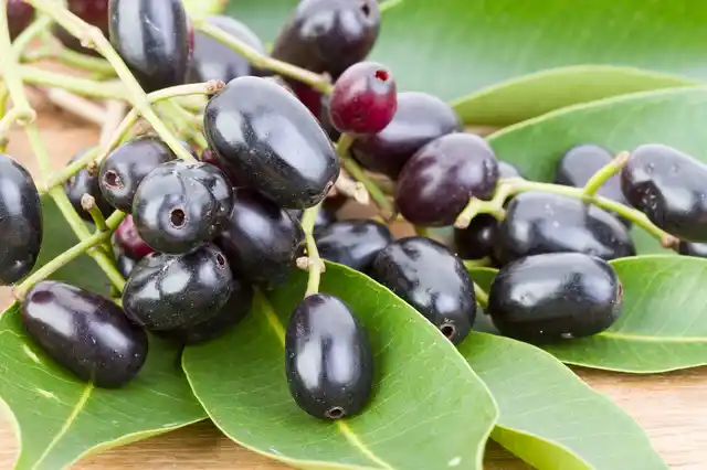Jamun helps in lowering blood sugar and keeping your body cool.