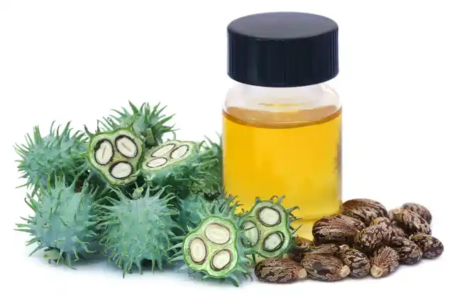 Castor oil mixed with glycerine gently moisturises skin and helps prevent premature wrinkles.