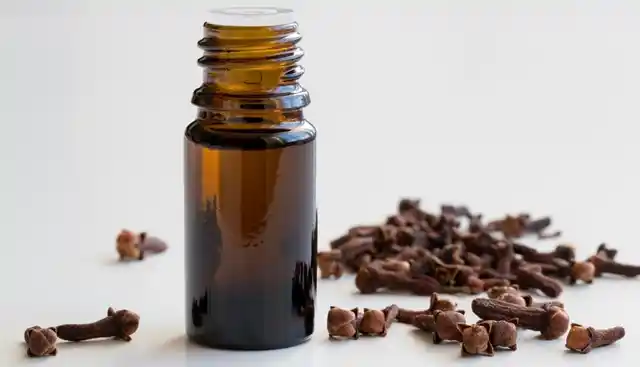 Clove oil contains a chemical known as eugenol which acts as an antibacterial agent.