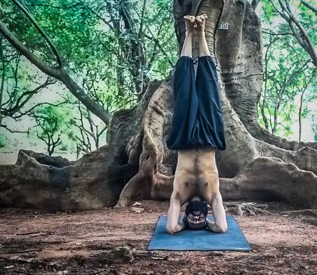 Your interlocked palms and elbows must form an imaginary equilateral triangle.