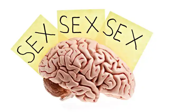 ‘I’m literally unable to be myself without having sex. Masturbation isn’t working with me.’