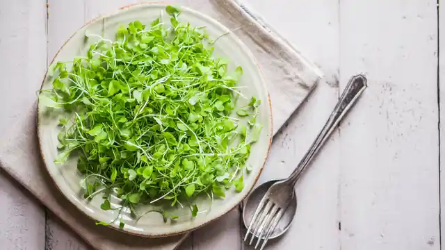 Gift a basket of health with these miniature versions of your regular healthy greens that are packed with 40 times as much vital nutrients. 