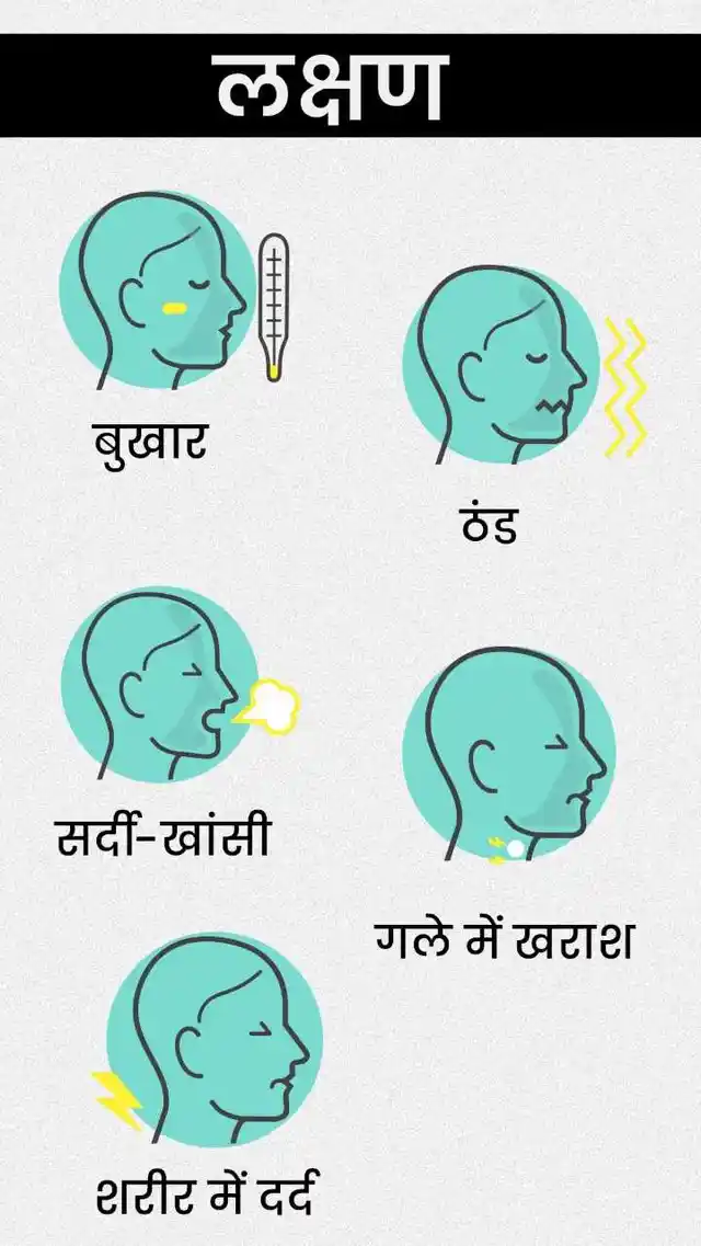 स्वाइन फ्लू के लक्षण दूसरे फ्लू की तरह ही हैं.
