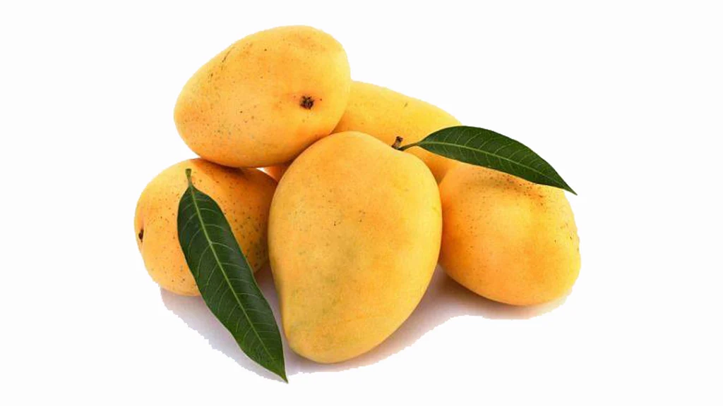 Fight In Kerala Village Over Caste Mangoes The Quint Fight In Kerala Village Over Caste Mangoes The Quint