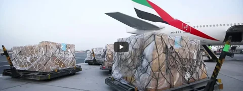 Watch: Emirates Provides Aid in Indian Floods