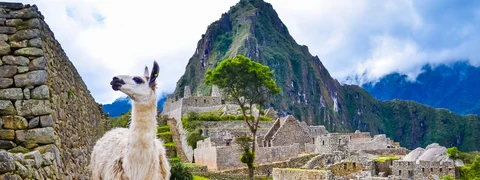 Peruvian Exports to UAE Grow 100%