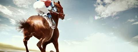 Etihad ‘SkyStables’ Secures Major Equestrian Contract