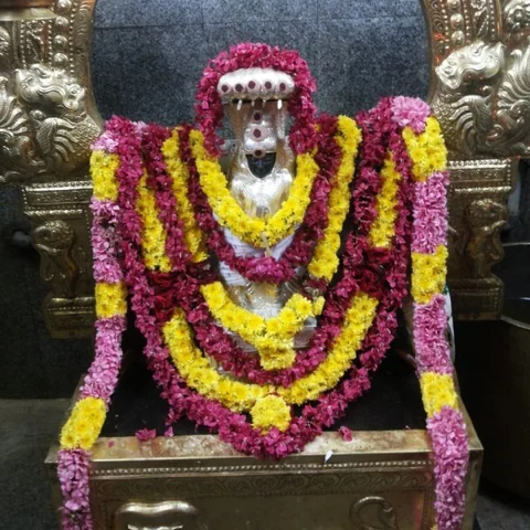 ராகு - கேது பெயர்ச்சியை முன்னிட்டு கீழப்பெரும்பள்ளம் கோயிலில் குவிந்த பக்தர்கள்