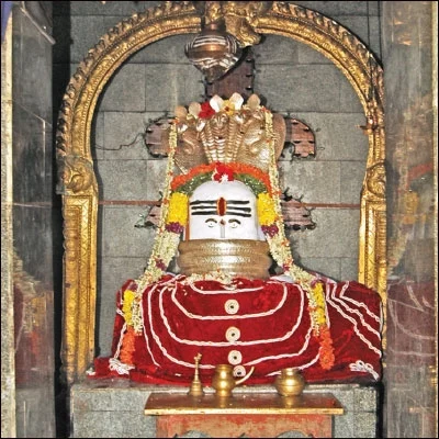 கேள்வி - பதில்: வாழை இலையில் முதலிடம் எதற்கு?