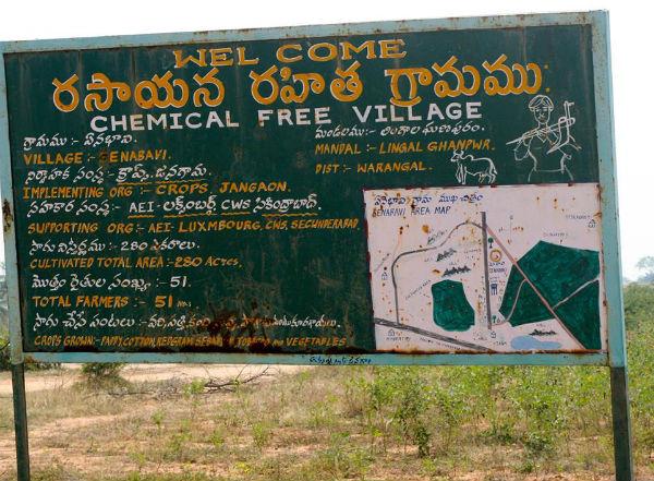 15 வருடங்களாக இங்கே விவசாயத் தற்கொலைகளே இல்லை... இயற்கை விவசாயத்தால் மீண்ட தெலங்கானா கிராமம்!