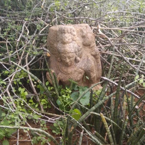 சிலைகளுக்காகப் பாசப்போராட்டம் நடத்திய கிராம மக்கள்!- வெறுங்கையுடன் திரும்பிய தொல்லியல் துறை