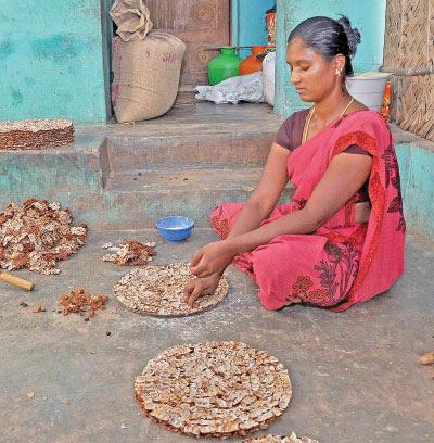 Agri Export for abundant income... Successful Strategies! Part 6