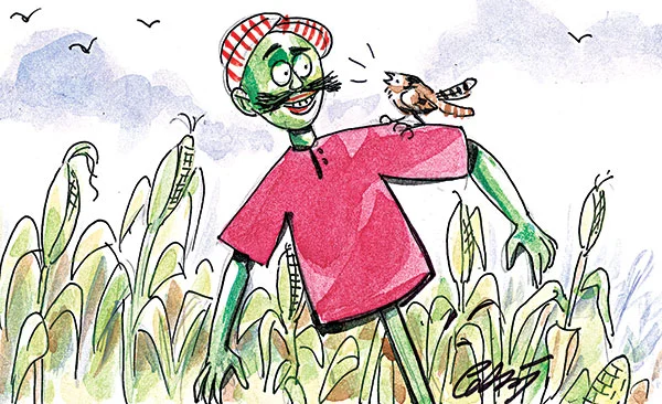 சோளக்கொல்லை பொம்மை - சிறுகதை