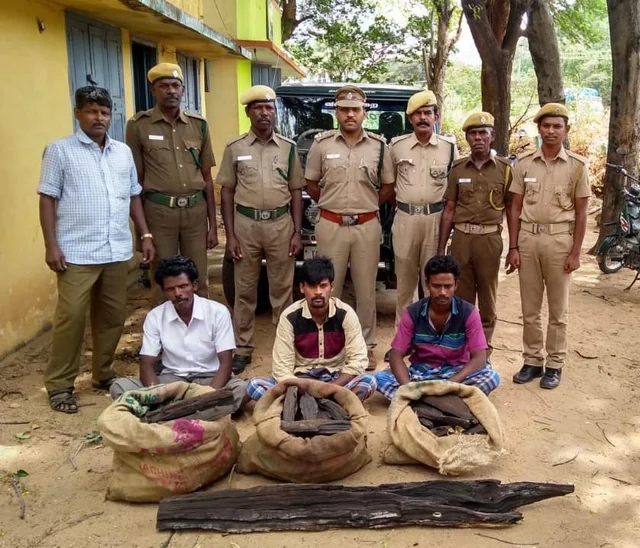 வனத்திற்குள் கருங்காலி மரத்தை வெட்டிய மூவர் கைது.!