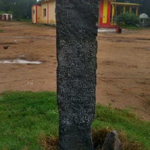 கால்நடைகளின் நோய் போக்கும் 18-ம் நூற்றாண்டு நம்பிக்கைக் கல்... உத்திரமேரூரில் கண்டெடுக்கப்பட்ட வரலாற்றுப் பொக்கிஷம்!