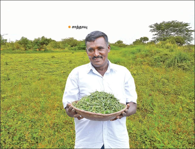 இயற்கை விவசாய மகசூல்: 5 நிமிட வாசிப்பில் பசுமை விகடன் 10 பகுதிகள்!