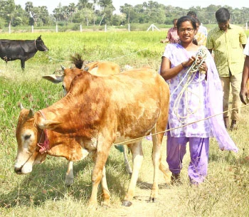 ’ஒரு நாள் விவசாயி!’