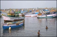 இலங்கை படையினரால் சிறைபிடிக்கப்பட்ட தமிழக மீனவர்கள் 34 பேர் விடுவிப்பு